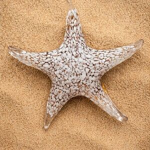 Studio art hand blown glass starfish paperweight / décor piece